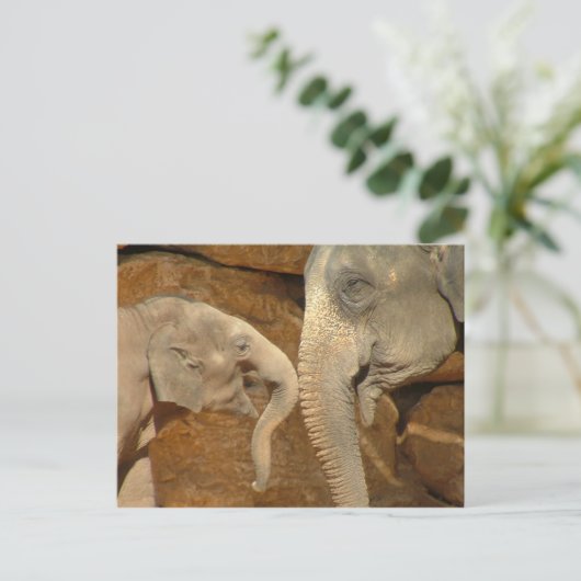 ADORABLE ELEPHANTS POSTKARTE (Stehend Vorderseite)