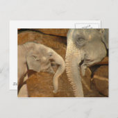 ADORABLE ELEPHANTS POSTKARTE (Vorne/Hinten)