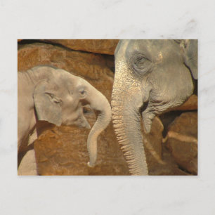 ADORABLE ELEPHANTS POSTKARTE