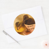 Adorable Encks Say Quack Runder Aufkleber (Umschlag)