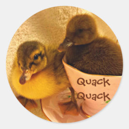 Adorable Encks Say Quack Runder Aufkleber
