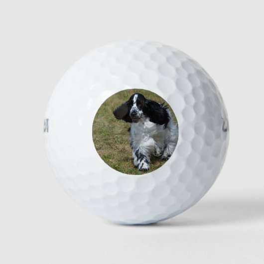 Adorable English Cocker Spanisch Golfball (Vorderseite)