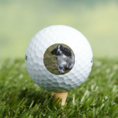 Adorable English Cocker Spanisch Golfball (Insitu T-Shirt)