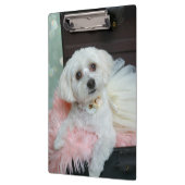 Adorable Fancy White Puppy Portrait Photo Klemmbrett (Links)