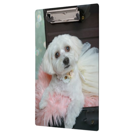 Adorable Fancy White Puppy Portrait Photo Klemmbrett (Links)