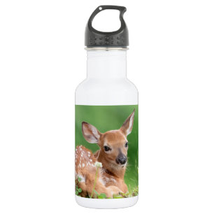 Adorable Fauna, die unter einem Baum liegt Edelstahlflasche