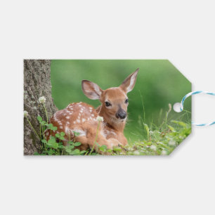 Adorable Fauna, die unter einem Baum liegt Geschenkanhänger