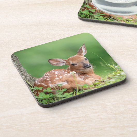 Adorable Fauna, die unter einem Baum liegt Getränkeuntersetzer (Linke Seite)