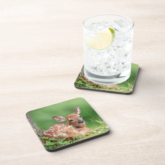 Adorable Fauna, die unter einem Baum liegt Getränkeuntersetzer (Rechte Seite)