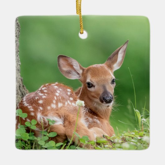 Adorable Fauna, die unter einem Baum liegt Keramikornament (Vorderseite)