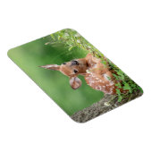 Adorable Fauna, die unter einem Baum liegt Magnet (Rechte Seite)