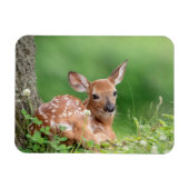 Adorable Fauna, die unter einem Baum liegt Magnet (Horizontal)