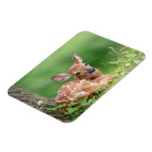 Adorable Fauna, die unter einem Baum liegt Magnet (Linke Seite)