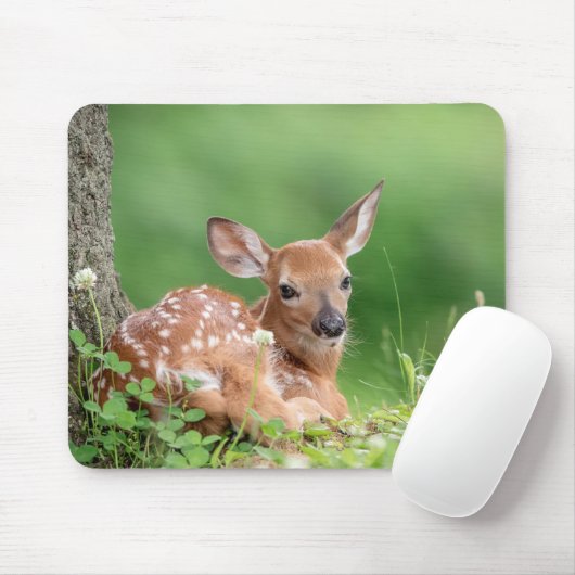 Adorable Fauna, die unter einem Baum liegt Mousepad (Mit Mouse)