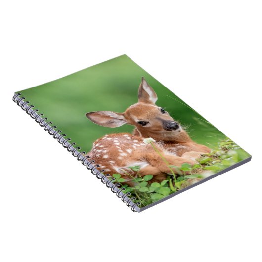 Adorable Fauna, die unter einem Baum liegt Notizblock (Rechte Seite)