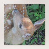 Adorable Fawn Puzzle (Horizontal)