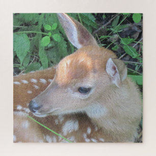 Adorable Fawn Puzzle