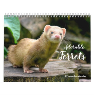 Adorable Ferrets 2026 Kalender