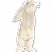Adorable Fluffy Bunny Aufkleber (Vorderseite)