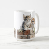 ADORABLE FLÜFFY KITTEN AUF DER BRICK WALL KAFFEETASSE (VorderseiteRechts)