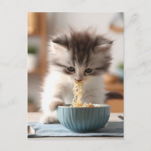 Adorable Fluffy Kitten Eating Ramen Noodles Postkarte (Vorderseite)