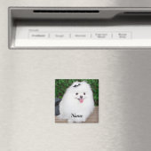 Adorable Fluffy White Puppy Dog Magnet (In Situ (Geschirrspüler))