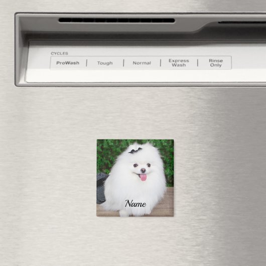 Adorable Fluffy White Puppy Dog Magnet (In Situ (Geschirrspüler))