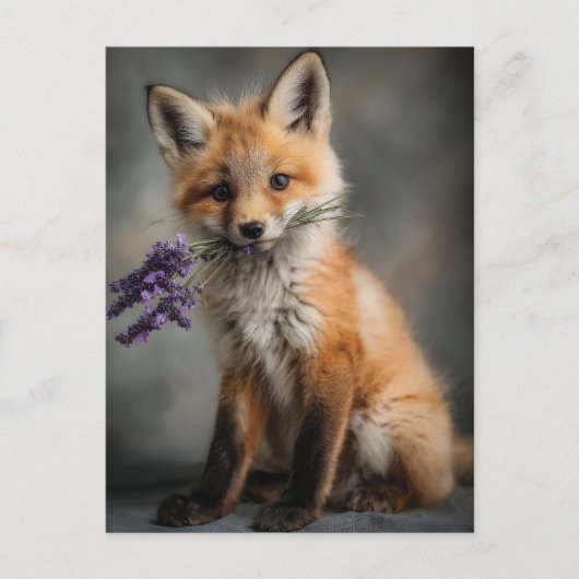 Adorable Fox Kit mit Lavendel-Blume Postkarte (Vorderseite)