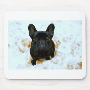 Adorable Französisch Bulldog Welpe! Mousepad