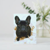 Adorable Französisch Bulldog Welpe! Postkarte (Stehend Vorderseite)