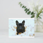 Adorable Französisch Bulldog Welpe! Postkarte (Stehend Vorderseite)
