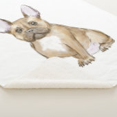 Adorable french bulldog puppy sherpadecke (3/4)