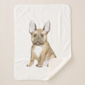 Adorable french bulldog puppy sherpadecke (Vorderseite)