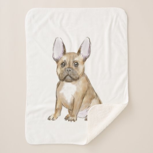 Adorable french bulldog puppy sherpadecke (Vorderseite)
