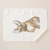 Adorable french bulldog puppy sherpadecke (Vorderseite (Horizontal))