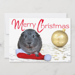 Adorable frohe Weihnachtsfeier Guinea Pig Gold Orn Feiertagskarte