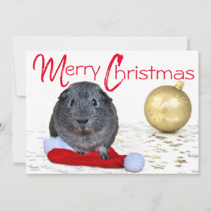 Adorable frohe Weihnachtsfeier Guinea Pig Gold Orn Feiertagskarte