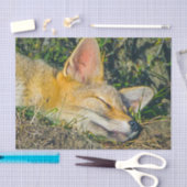 Adorable Fuchs schlafend Schließfotografie Seidenpapier (Handwerk)