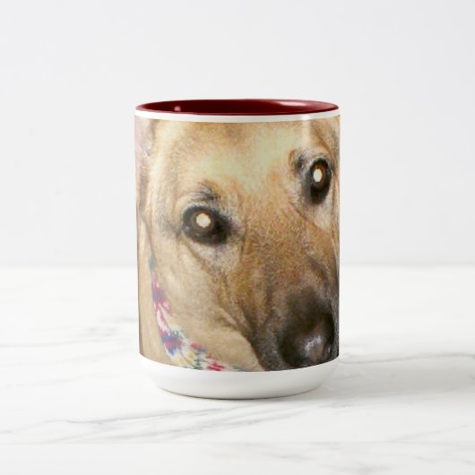 Adorable German Shepherd Black Tan Nah-up-Gesicht Zweifarbige Tasse (Mittel)