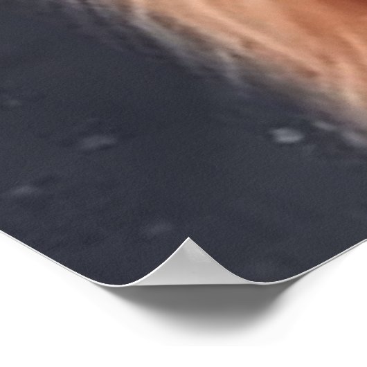 Adorable Ginger Alpaka mit Mütze Poster (Ecke)