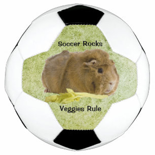 Adorable Ginger Guinea Pig Eating Celery Foto Fußball