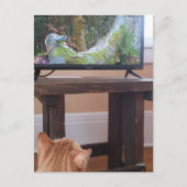 adorable ginger kitty watching TV Postkarte (Vorderseite)