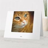 Adorable Ginger Tabby Cat Posing Pet Portrait Dankeskarte (Rückseite)