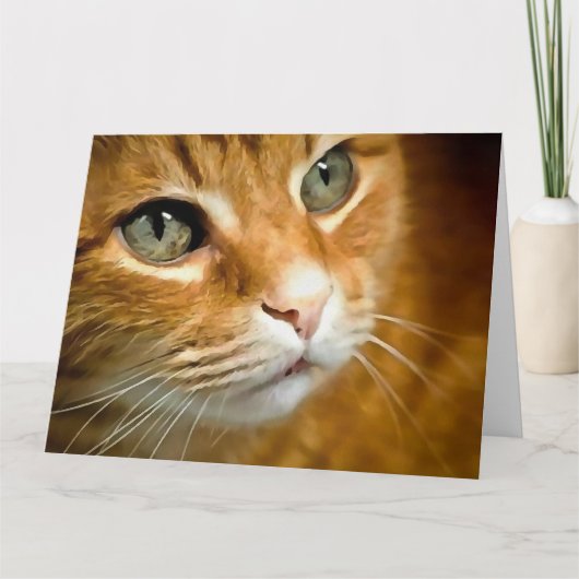 Adorable Ginger Tabby Cat Posing Pet Portrait Dankeskarte (Vorderseite)