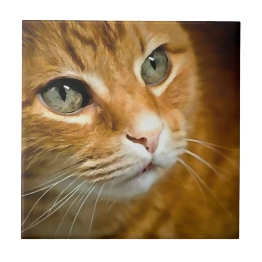 Adorable Ginger Tabby Cat Posing Pet Portrait Fliese (Vorderseite)