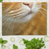 Adorable Ginger Tabby Cat Posing Pet Portrait Geschirrtuch (Gefaltet)