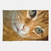 Adorable Ginger Tabby Cat Posing Pet Portrait Geschirrtuch (Horizontal)