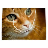 Adorable Ginger Tabby Cat Posing Pet Portrait Große Geschenktüte (Vorderseite)