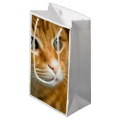 Adorable Ginger Tabby Cat Posing Pet Portrait Kleine Geschenktüte (Vorderseite Schrägansicht)