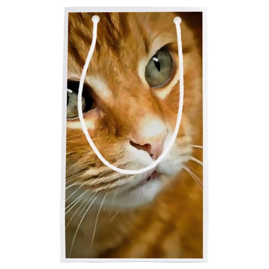 Adorable Ginger Tabby Cat Posing Pet Portrait Kleine Geschenktüte (Vorderseite)